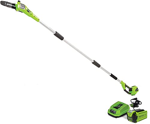 Greenworks 40V 8' Cordless Polesaw, 2.0Ah Battery and Charger Included