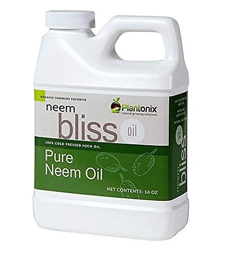 Organic Neem Bliss 100% Pure Cold Pressed Neem Seed Oil - (16 oz) High...