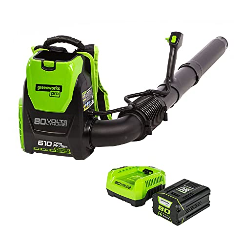 Greenworks Pro 80V (180 MPH / 610 CFM) Cordless Backpack Leaf Blower, 2.5Ah...