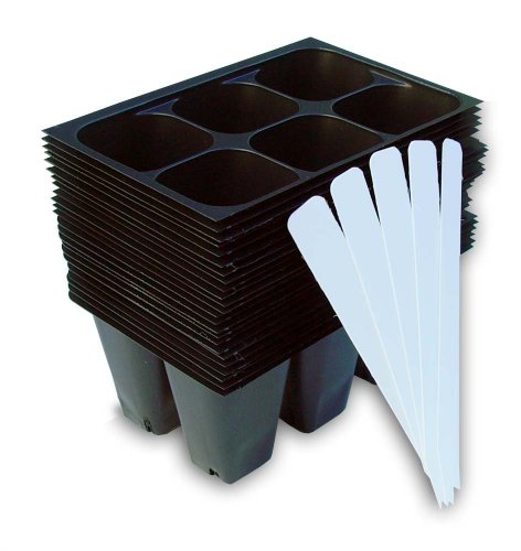 9GreenBox - Seedling Starter Trays, 144 Cells: (24 Trays; 6-Cells Per...