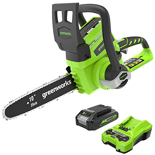 Greenworks 24V 10' Chainsaw, 2.0Ah USB Battery and Charger