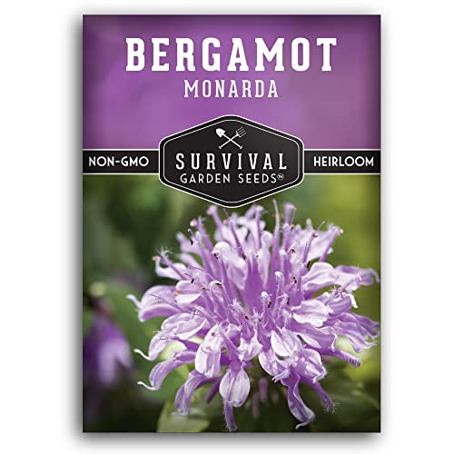 Survival Garden Seeds - Bergamot Herb (Bee Balm) Seed for Planting - Packet...