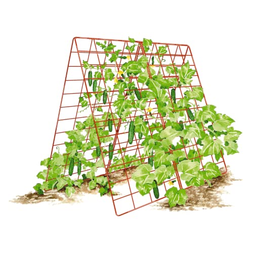 Gardeners Supply Company Deluxe Cucumber Trellis | Easy to Install Raised...