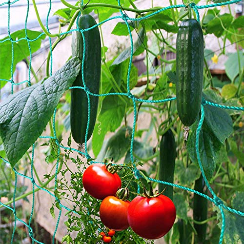 Trellis Netting for Climbing Plants - Heavy Duty Garden Trellis Netting for...