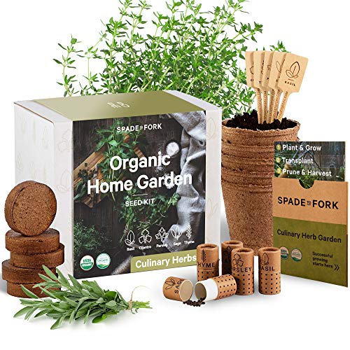 Kit de démarrage pour jardin d'intérieur à base d'herbes - Certifié USDA organique non OGM - 5 herbes...