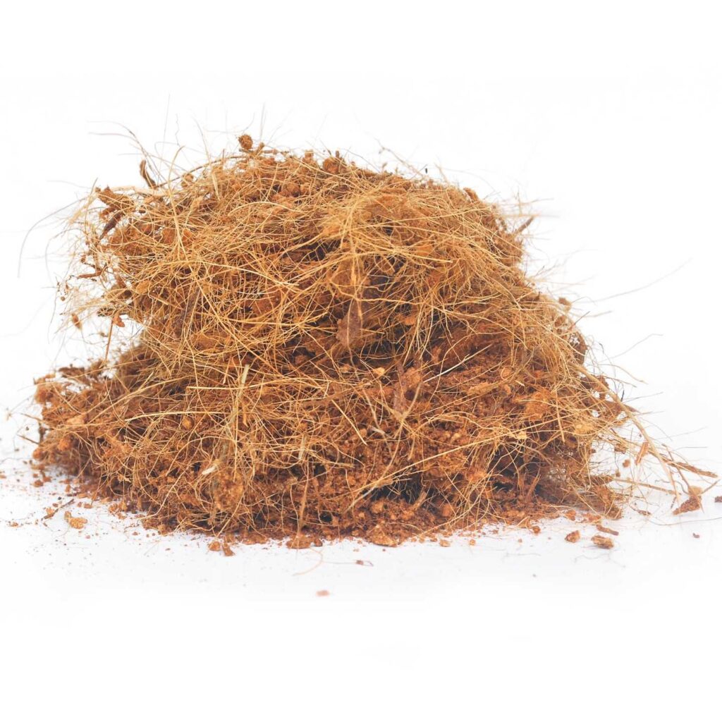 A small pile of dry coconut coir on a white background. Coconut coir is used as a soil additive instead of peat moss.