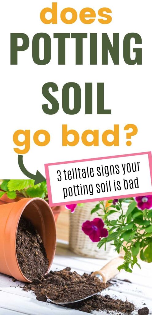 Text "Does potting so go bad? 3 telltale signs your potting soil is bad" wit a picture of a terra cotta pot on its side. Potting soil is in the pot and spilling onto the table. There is a spade on the table and purple flooring plants in the background.