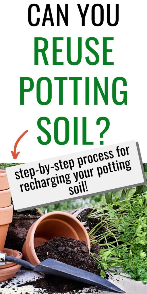 text "can you reuse potting soil? Step-by-step process for recharging your potting soil." Below the text is an image with a clay pot of dirt full of potting soil tipped on its side. There is a trowel in front of the pot and a parsley plant behind waiting to be transplanted