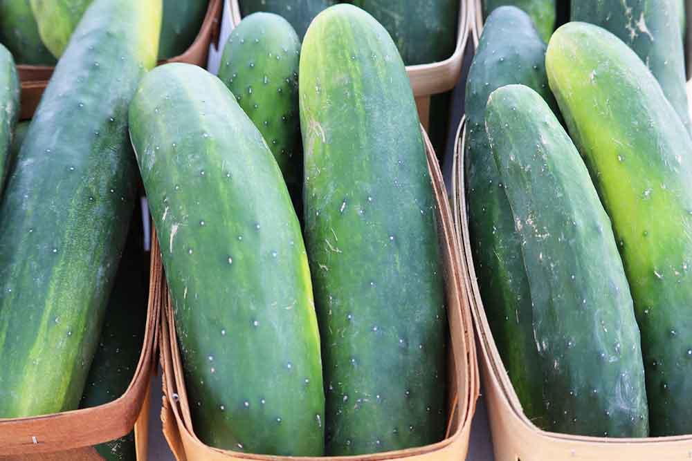 Slicing cucumbers in baskets on a table arranged for sale. There are three cucumbers in each small basket. Only one basket is fully visible but six are partially in the frame.