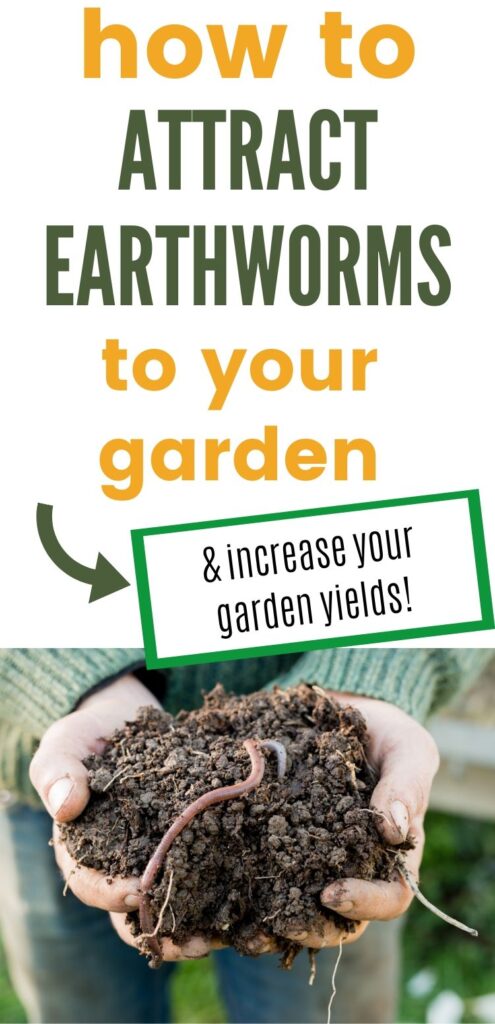 text "how to attract earthworms to your garden and increase your yields" above a photo of a woman's hands holding soil with earthworms