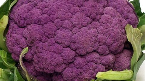 Image for Graffiti Heirloom Cauliflower