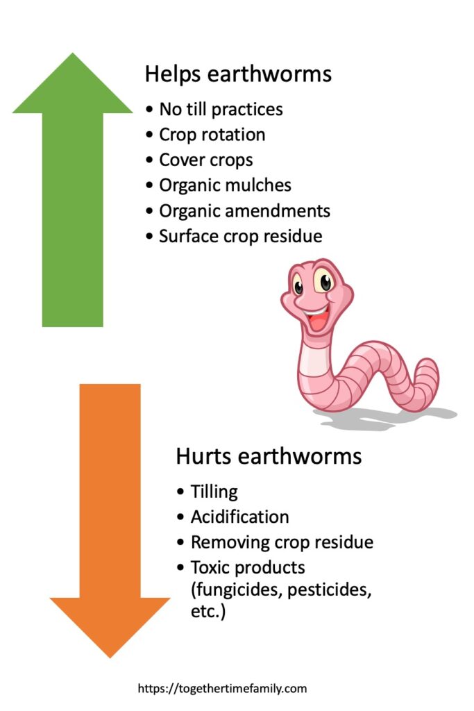 An infographic with practices and help and hurt earthworms. There is a cute cartoon worm in the middle. On the left is a green arrow pointing up and an orange arrow pointing down. By the up arrow it says "helps earthworms: no till practices, crop rotation, cover crops, organic mulches, organic amendments, surface crop residue." By the orange down arrow it says "hurts earthworms: tilling, acidification, removing crop residue, toxic products" 