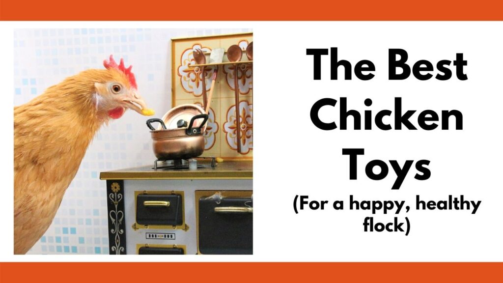 On the left is a picture of a chicken placing a kernel of corn in a tiny copper pot on top of a miniature wood stove. On the left is the text "the best chicken toys for a happy healthy flock"