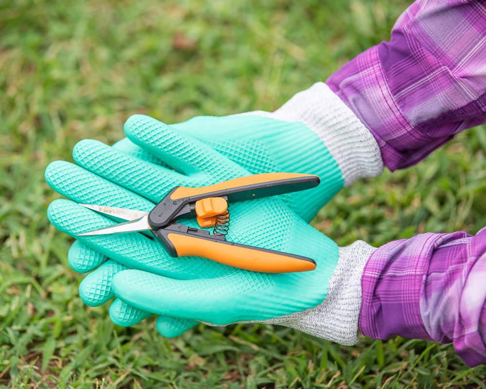 a pair of hands wearing cut resistant garden gloves with a nitrile coating. In the cupped hands is a small pair of orange handled garden snips