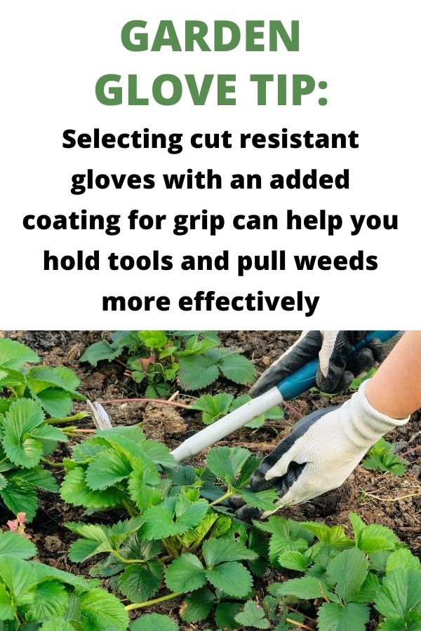 text  "garden glove tip" selecting cut resistant gloves with an added coating for grip can help you hold tools and pull weeds more effectively." Below the text is a picture of hands holding a hand cultivator and digging up strawberry plants.