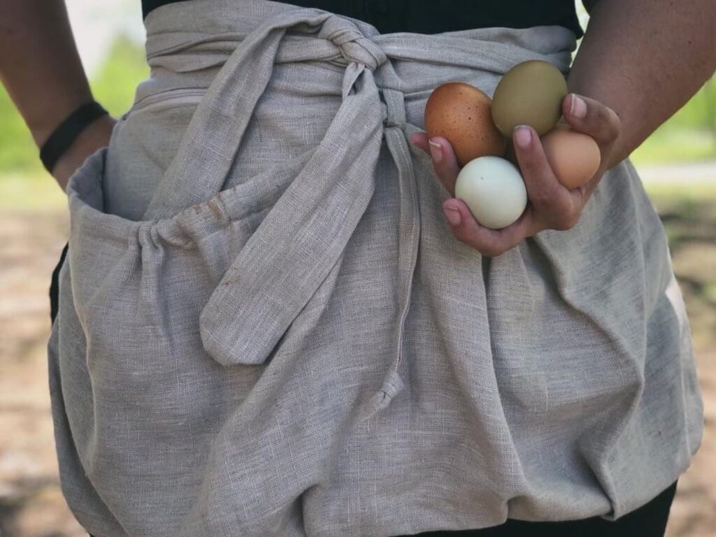 Close up of a linen harvesting apron being worn by a woman holding four colorful chicken eggs in her left hand. Only the apron and her forearms are visible.