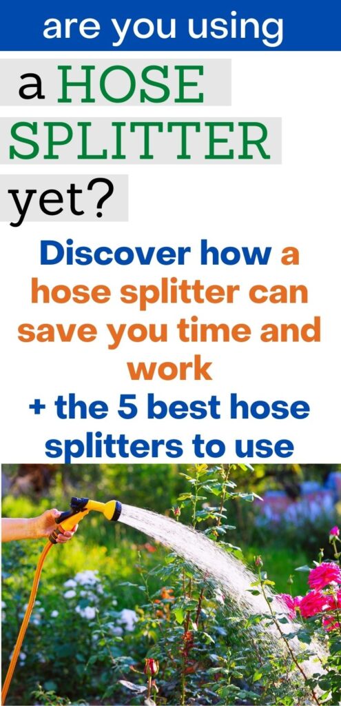 text "are you using a hose splitter yet? Discover how a hose splitter can save you time and work + the best 5 hose splitters to use" Below is a picture of a hand holding a hose watering rose bushes 