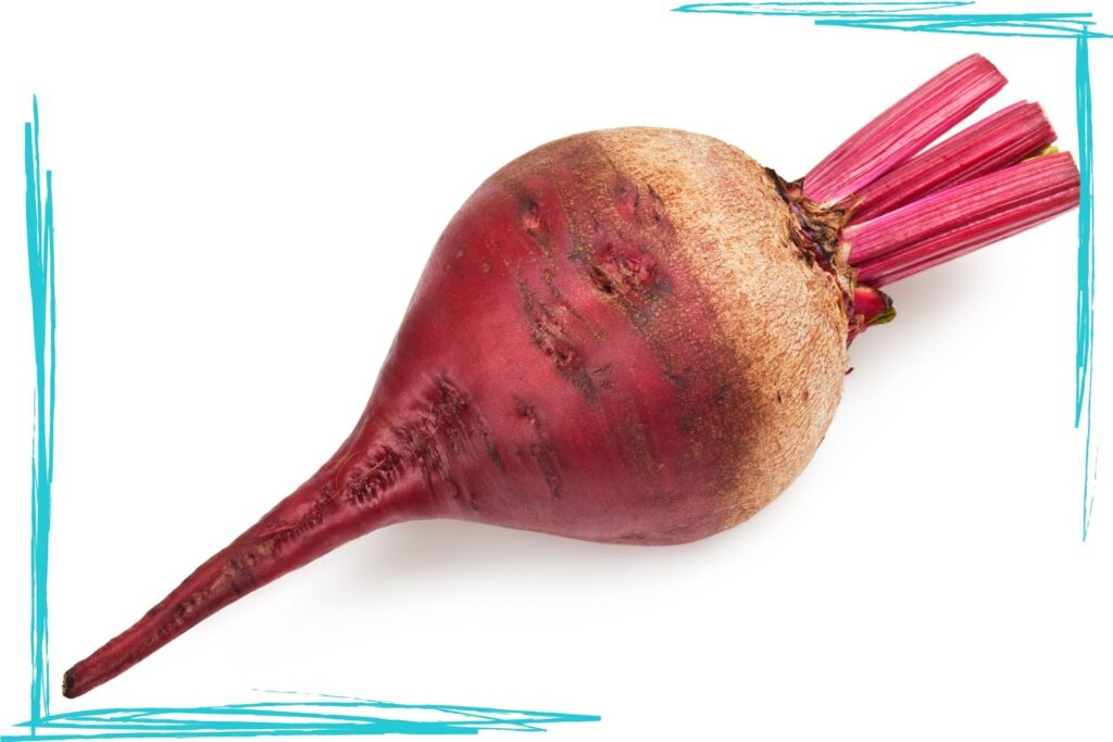 A red beet on a white background. The beet greens have been cut off. The picture has blue scribble border corners in the bottom left and top right.