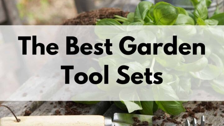 text overlay "the best garden tool sets" over a picture of a small trowel and hand cultivator on a wood table in front of a basil plant and metal watering can