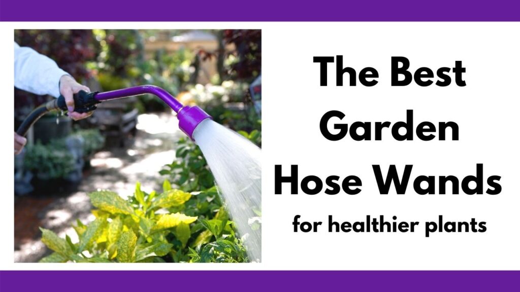 Text "the best garden hose wands for healthier plants" next to an image of a person watering a garden bed with a short purple garden hose wand. Only the hose wand and the person's hands are visible - the rest of their body is not shown