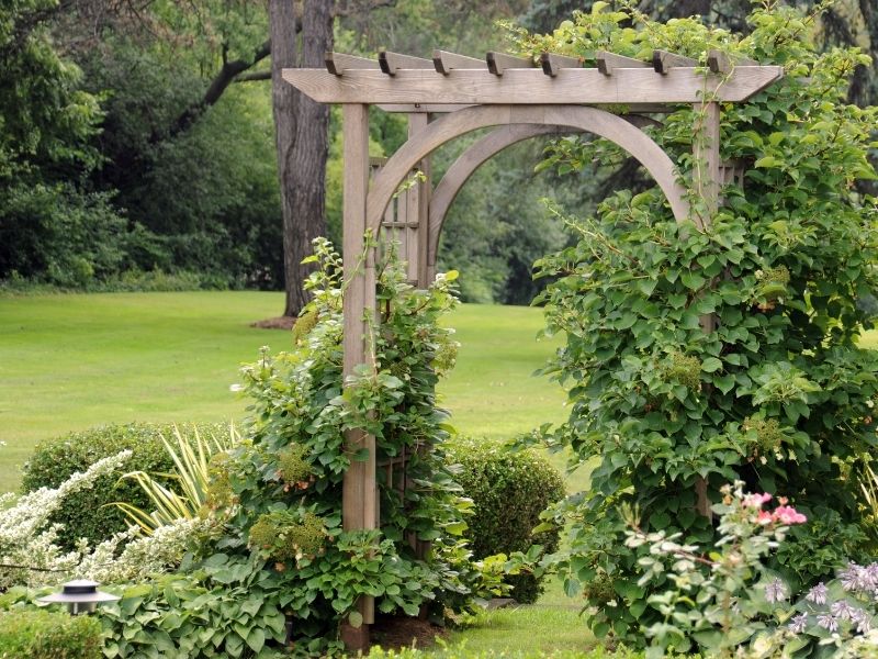 A wood arbor in a garden covered with vining plants and flowers