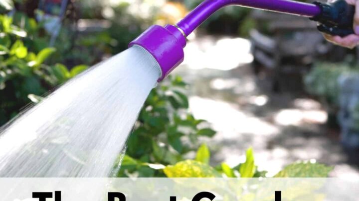 text overlay "the best garden hose wands" over a picture of a purple hose wand being used to water a garden bed