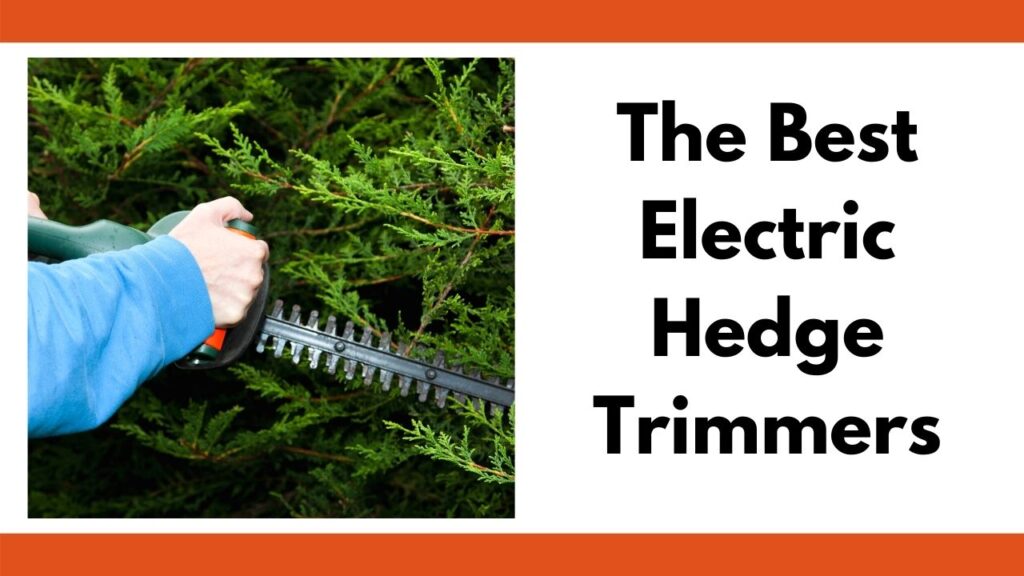 A close up of a person with a blue long sleeved shirt using an electric hedge trimmer on an evergreen. To the right is the text "The best electric hedge trimmers"