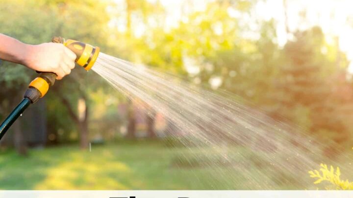 a backlit image of a hand using a yellow garden hose nozzle to water a grass lawn. On the bottom is the text overlay "the best garden hose nozzles"