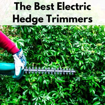 text overlay "the best electric hedge trimmers" over a picture of an arm in a red sleeve with a garden glove holding a hedge trimmer against a hedge
