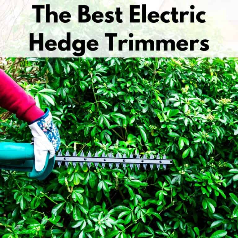 text overlay "the best electric hedge trimmers" over a picture of an arm in a red sleeve with a garden glove holding a hedge trimmer against a hedge