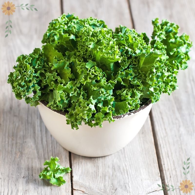 A white bowl of curly green kale on a light wood table.