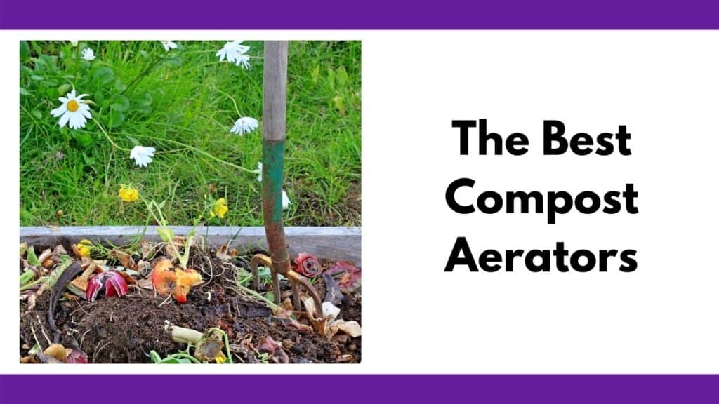 Text "The best compost aerators" next to a pitchfork staked in a pile of compost box with a visible apple and red onion in the pile. Surrounding the box is a grassy patch with some dandelions growing.