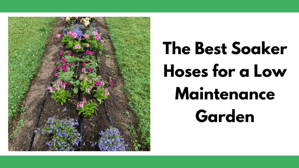 Text "the best soaker hoses for a low maintenance garden" next to an image of a flowerbed with three rows of soaker hose on it.