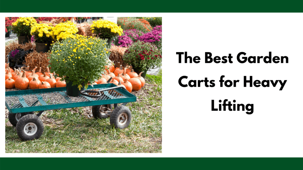 Text reads "The best garden carts for heavy lifting" to the right of a photo of a steel garden cart with a potted plant on top. The background is a series of flowers and pumpkins arranged for an autumn season.