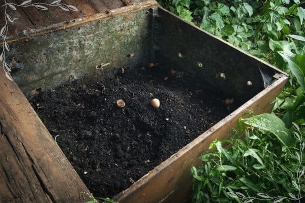 A wood bin of finished, rich, dark compost