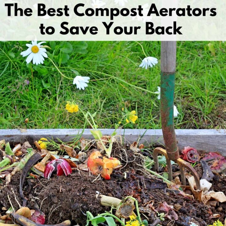 Text banner at the top "The best compost aerators to save your back" on a translucent white background. Photo below is of a pitchfork staked into a compost bin with visible apple cores and red onions peels. The top of the photo is of a grassy patch with dandelions growing.