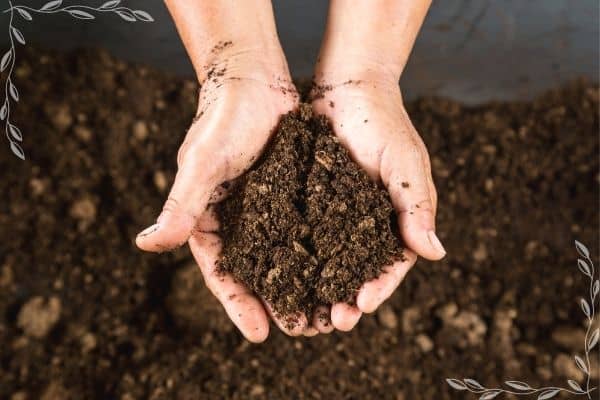 Cupped hands holding a handful of finished, rich compost above a pile of finished compost