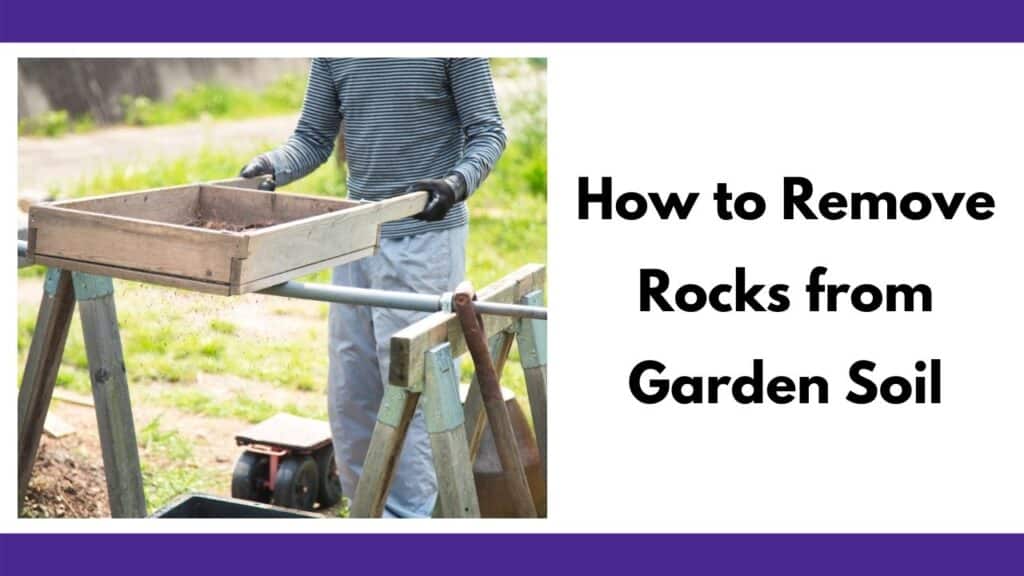 text "how to remove rocks from garden soil" next to an image of someone using a soil sifter resting on saw horses