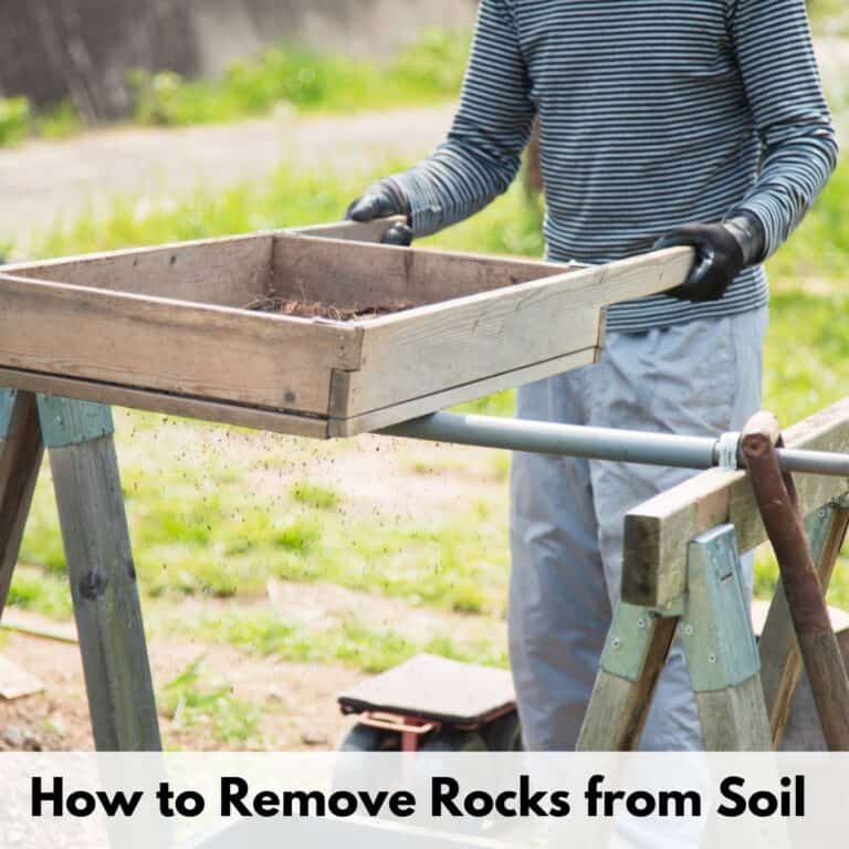 text overlay "how to remove rocks from soil" over an image of a person wearing gloves sifting soil through a large, wood soil sifter resting on a pair of sawhorses