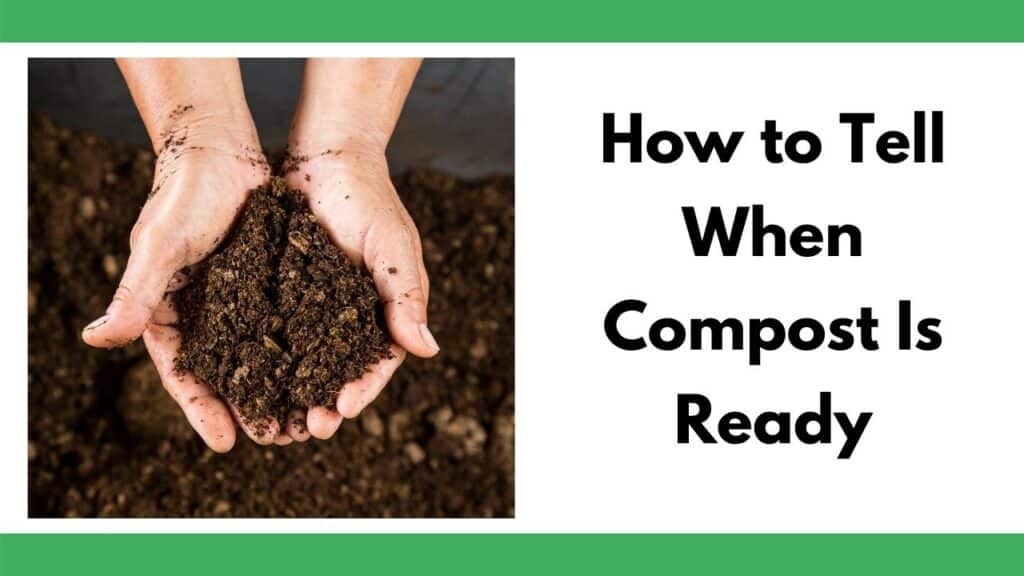 Text reads, "how to tell when compost is ready." To the left of the text is a photo of a person's hands holding a handful of compost which has turned into dirt. The background is of the same compost dirt.