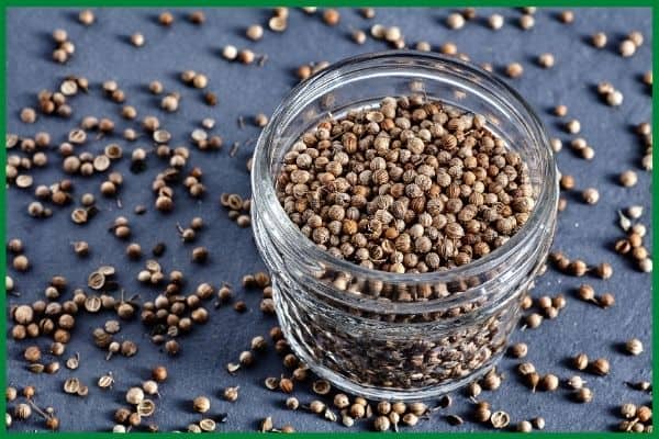 An open one cup glass jar of coriander seed. There are more coriander seeds scattered on the black slate background. 