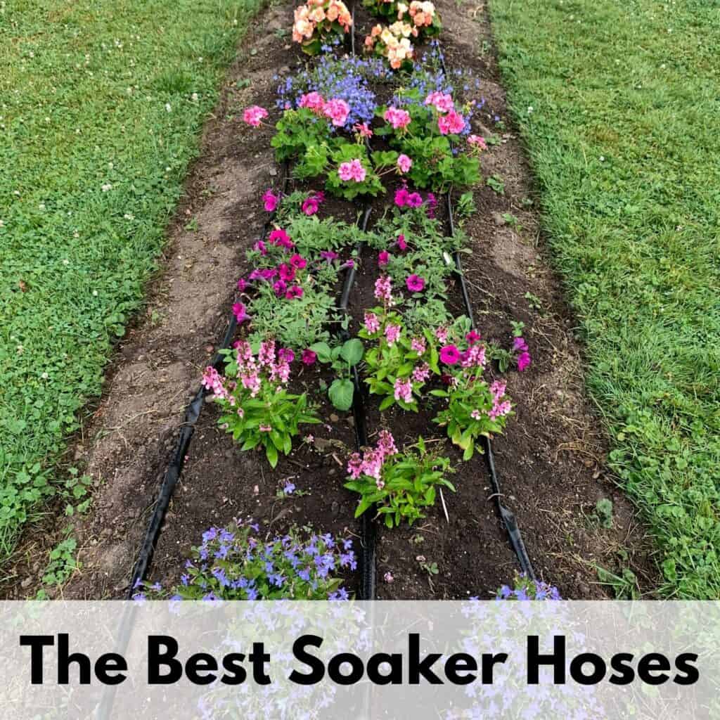 The Best High Pressure Hose Nozzles to Turn Your Garden Hose into a