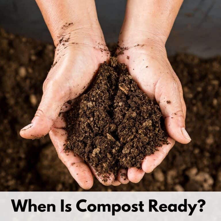 text overlay "when is compost ready?" on top of an image of cupped hands holding rich, dark, mature compost