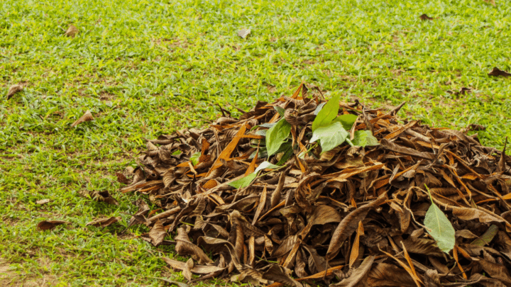 Text reads "The Best Electric Leaf Mulchers to Save you time." Text is on a white banner above a photo of a pile of leaves on a green grassy lawn.
