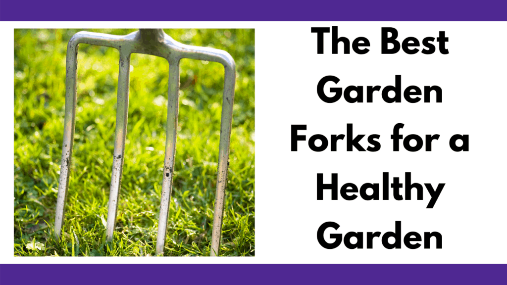 Text reads "The best Garden Forks for a Healthy Garden." In black font. To the left is a photo of a garden fork with 4 stainless steel tines slightly stabbed into the ground of a green grass patch.