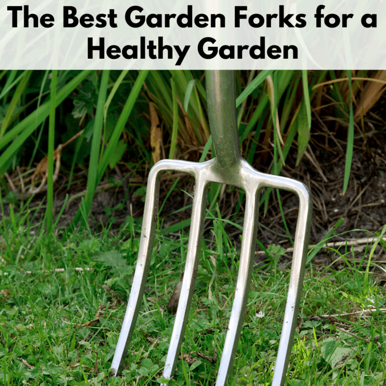 Text reads "The best garden forks for a healthy garden" on a semi transparent white background above a photo of a garden fork with 4 stainless steel tines. The garden fork is standing vertically in a green grass setting at the edge of a mulch line of a garden.