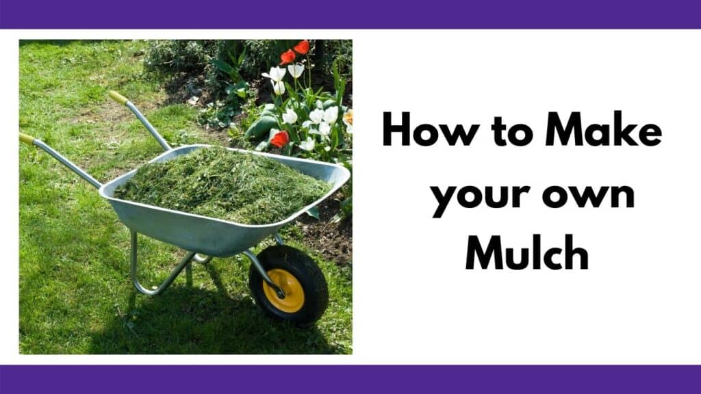 text "how to make your own mulch" next to a wheelbarrow full of grass clippings on a lawn