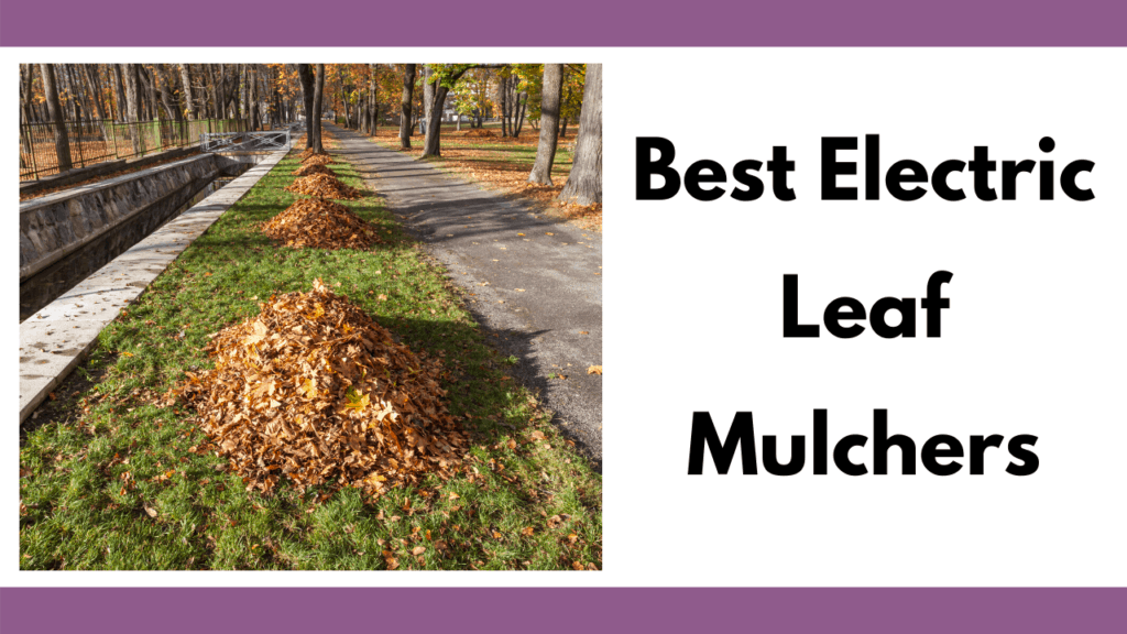 Text reads "Best Electric Leaf Mulchers" to the right of a photo. Photo depicts multiple leaf piles in a row on a grassy patch in a park setting. To the right is a walking path; to the left is a small water canal.