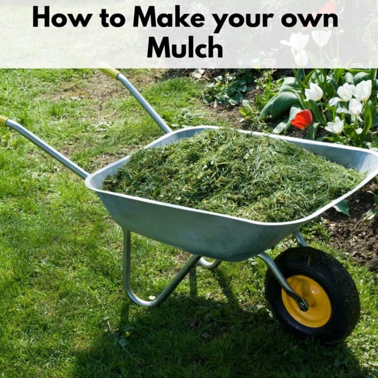 text overlay "how to make your own mulch" above an image of a wheelbarrow filled with grass clippings.