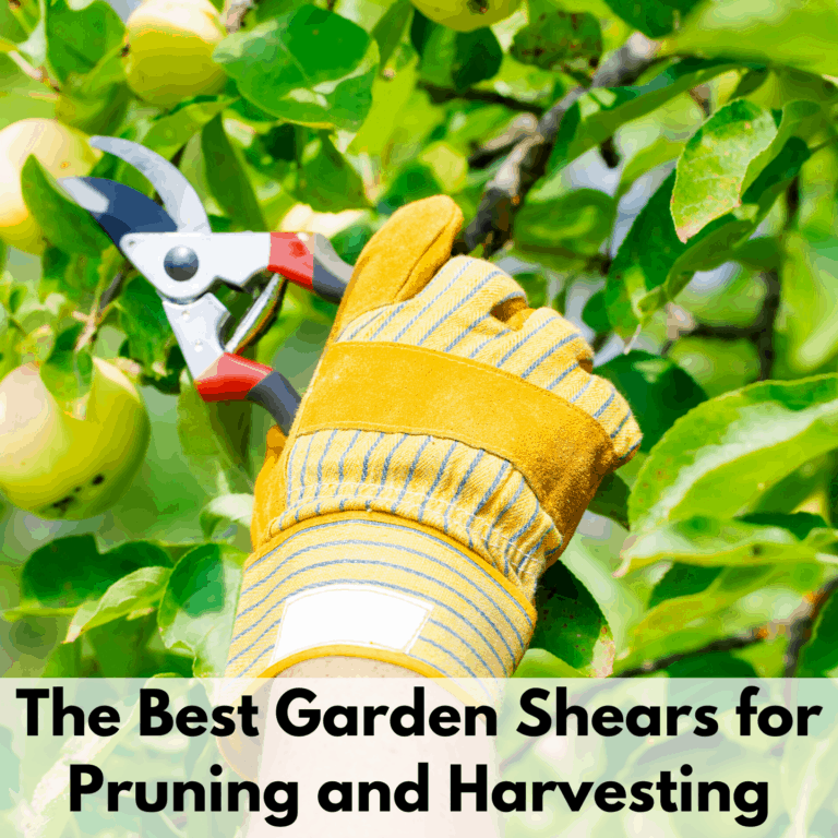 Text reads "The best garden shears for pruning and harvesting" on a white transparent background. On top is a photo of a yellow gloved hand holding a set of garden pruners harvesting a green apple from an apple tree.